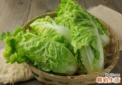 白菜有什么功效与作用 白菜怎么吃最好