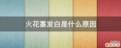 火花塞发白是什么原因