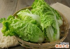 吃白菜有什么好处 常吃白菜好处居然这么多