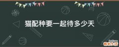猫配种要一起待多少天