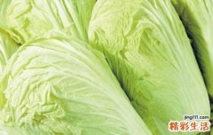 吃大白菜的好处 大白菜禁忌