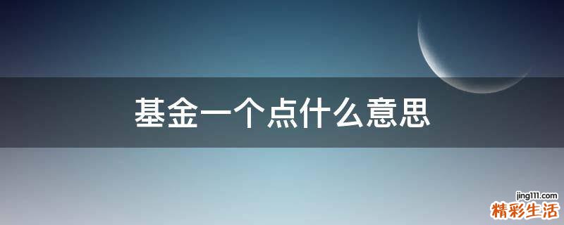 基金一个点什么意思
