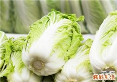 白菜怎样挑选 白菜有什么营养