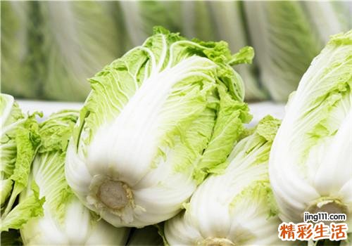 白菜怎样挑选 白菜有什么营养