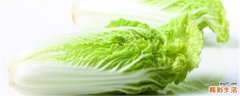 白菜怎么做好吃又简单 大白菜的做法大全