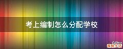 考上编制怎么分配学校