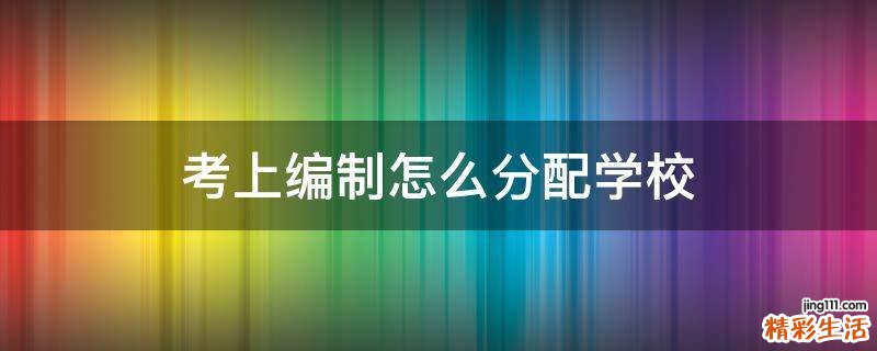 考上编制怎么分配学校