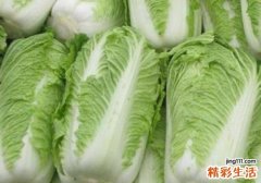 多吃白菜有什么好处 白菜的适用人群与禁忌人群