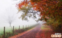 5 女性抗衰老必吃的22种顶级食物