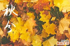 今年的秋分时节是几月几号2023