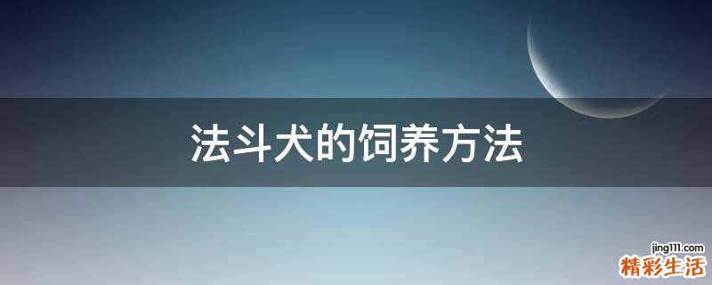 法斗犬的饲养方法