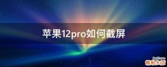 苹果12pro如何截屏