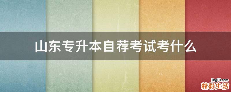 山东专升本自荐考试考什么