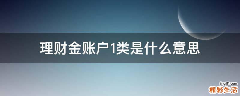 理财金账户1类是什么意思