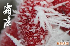 2023年霜降结婚好吗