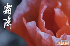 霜降发给女朋友的话