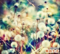 滑膜炎还可这样治