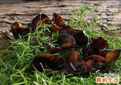 木耳是酸性还是碱性食物