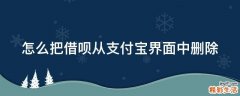怎么把借呗从支付宝界面中删除