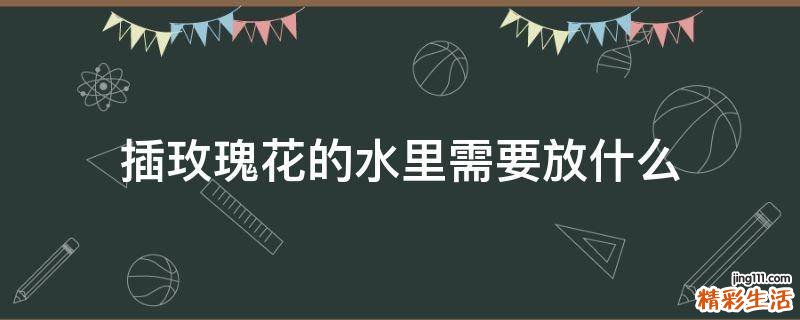 插玫瑰花的水里需要放什么