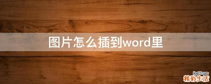 图片怎么插到word里