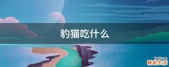 豹猫吃什么