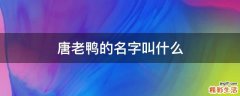 唐老鸭的名字叫什么
