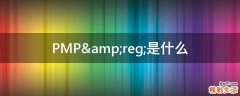 PMP&amp;reg;是什么