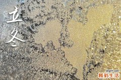 属于立冬的风俗吃什么 立冬应该吃什么食物