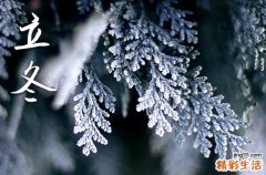 立冬必吃三种水果 立冬时节吃什么食物