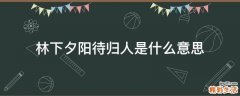 林下夕阳待归人是什么意思