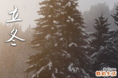 2023年立冬之后就是冬天了吗 2023的冬天会冷到什么程度
