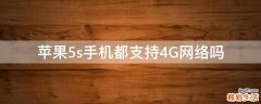 苹果5s手机都支持4G网络吗