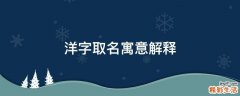 洋字取名寓意解释