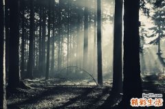 3 天后快速减压方法