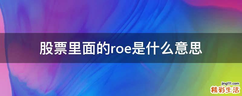 股票里面的roe是什么意思