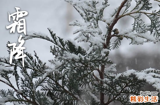 2023霜降吃什么水果 2023霜降应该吃什么水果