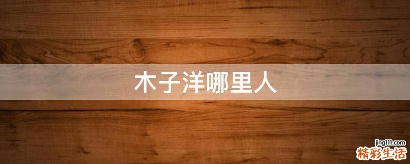 木子洋哪里人
