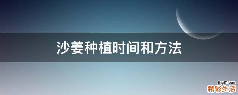 沙姜种植时间和方法