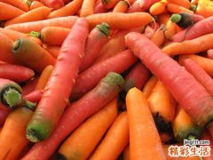 糖尿病能吃胡萝卜吗