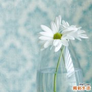 茼蒿炒鸡蛋怎样不苦