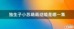 独生子小苏萌萌结婚是哪一集