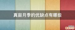 真宙月季的优缺点有哪些