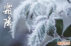 2023霜降南方吃什么传统食物 霜降节气传统食物盘点2023