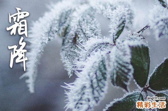 2023霜降南方吃什么传统食物 霜降节气传统食物盘点2023