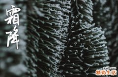 2023霜降是哪一天的什么时候 2023霜降节气吃什么食物好