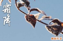 2023霜降下一个节气是什么 2023霜降过后是什么节气