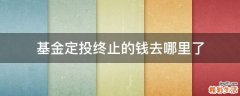 基金定投终止的钱去哪里了