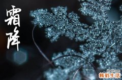 2023霜降是哪一天 2023年霜降时间几点几分几秒