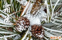 2023年霜降是哪一天 2023霜降是什么时候